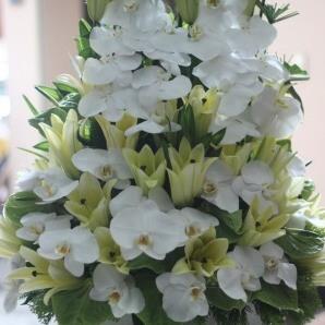 Shop hoa tươi Triệu Sơn Thanh Hóa