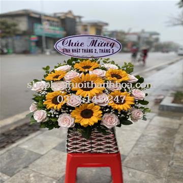 Dâu dương 1